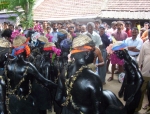 ttm-kuthiravela2005028