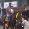 ttm-kuthiravela2005047