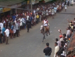 ttm-kuthiravela2005073