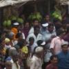 ttm-kuthiravela2005075