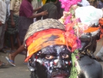 ttm-kuthiravela2005118