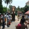thechikkotukavu_ramachandran1