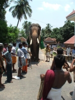 thechikkotukavu_ramachandran1