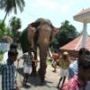 thechikkotukavu_ramachandran2