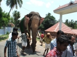 thechikkotukavu_ramachandran2