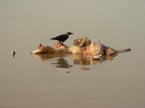 image009