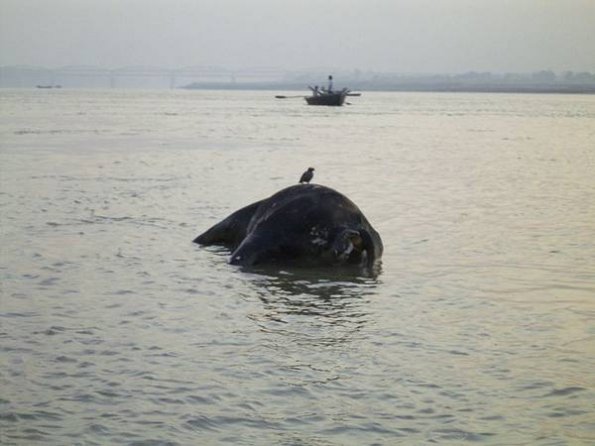 image011