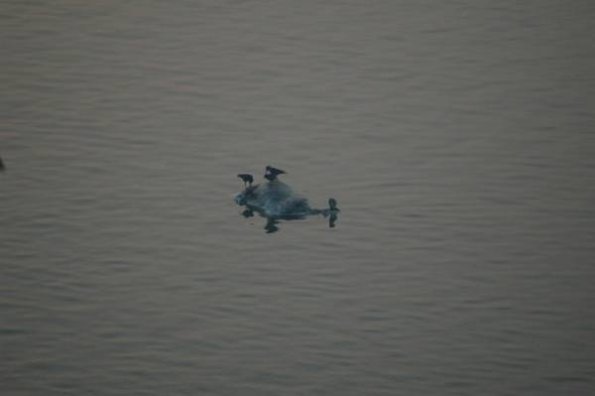 image020