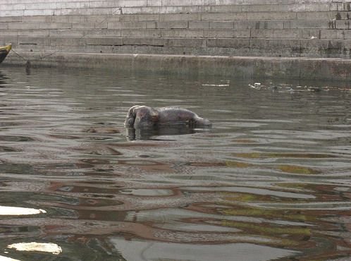 image027