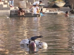 image010