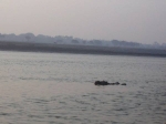 image012