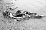 image015