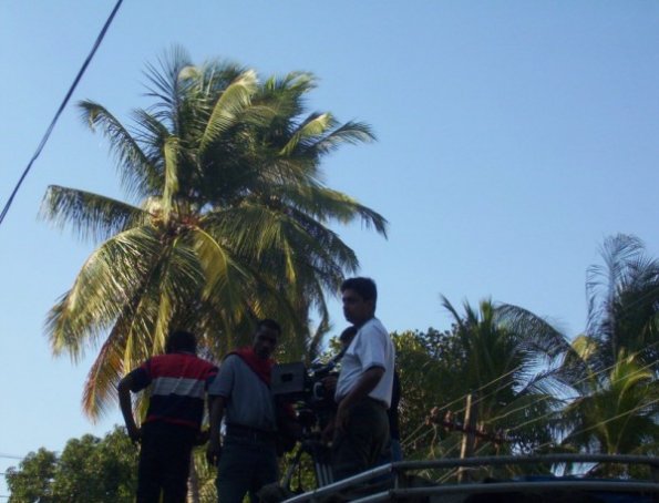 seelabhathy072